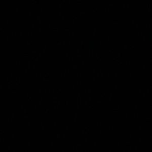 Meet your Posher, America